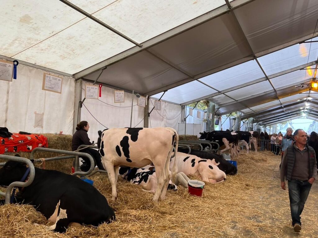 Cet événement met en lumière la richesse et la diversité de l’agriculture en Périgord, tout en valorisant le travail essentiel de nos agriculteurs. Cependant, au-delà des festivités, le mécontentement exprimé par ces derniers doit impérativement être pris au sérieux par le Gouvernement.