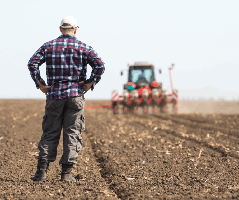 agriculture